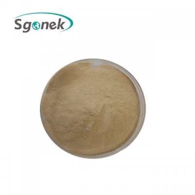 Raw material natural Aloe Vera Leaves extract powder in stock