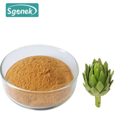 Organic 2.5% 5% Cynarin Artichoke Extract Powder Dried Artichoke Powder